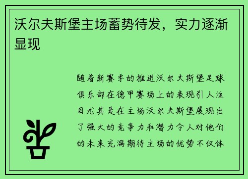 沃尔夫斯堡主场蓄势待发，实力逐渐显现